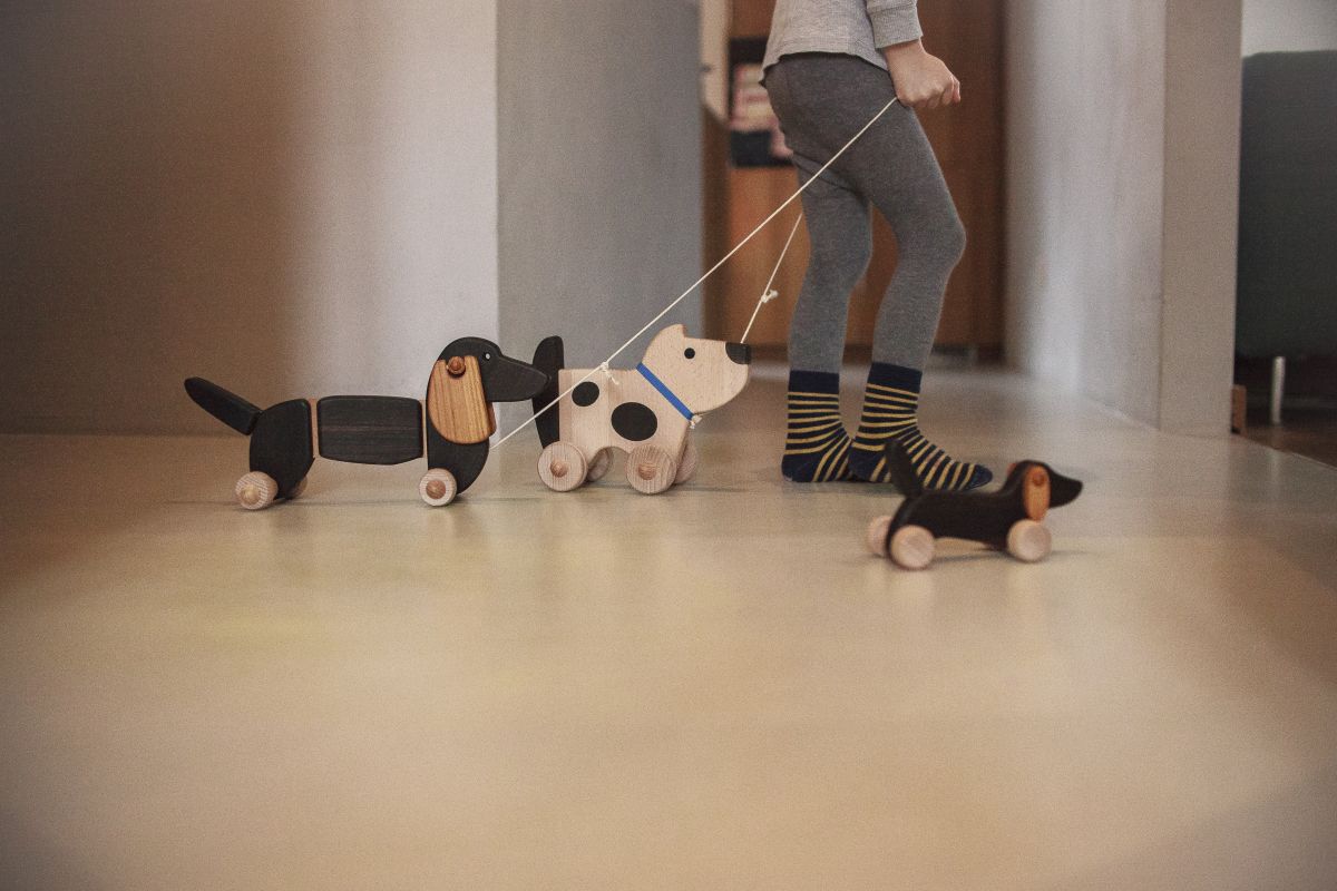 BAJO臘腸狗飛飛/跑動時飛揚的耳朵超可愛!🐶